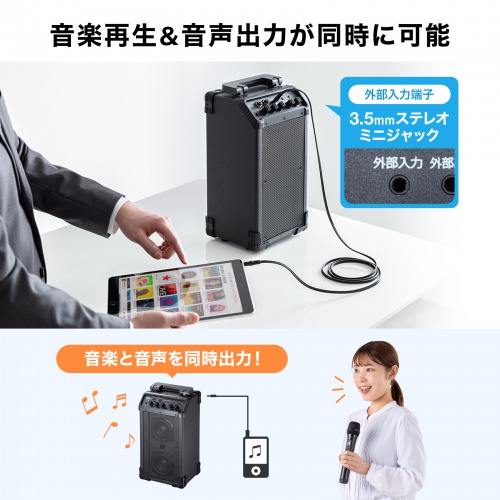 拡声器（ワイヤレスマイク・スピーカーセット・マイク2本付・40W・電池駆動・AC電源・大型・収納バッグ付き・PAシステム・イベント・選挙・セミナー・講義・会議・運動会）