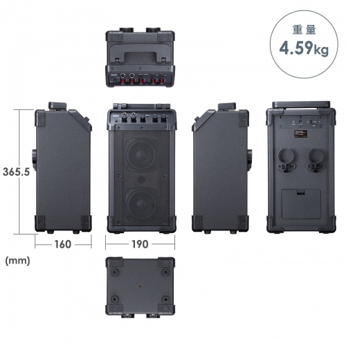 拡声器（ワイヤレスマイク・スピーカーセット・マイク2本付・40W・電池駆動・AC電源・大型・収納バッグ付き・PAシステム・イベント・選挙・セミナー・講義・会議・運動会）