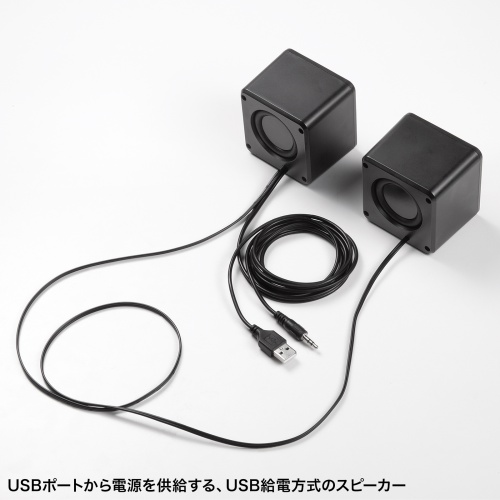 PCスピーカー（USB電源・6W出力・3.5mmプラグ接続・パッシブ
