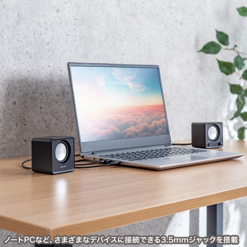 PCスピーカー（USB電源・6W出力・3.5mmプラグ接続・パッシブラジエーター・小型サイズ・ブラック）