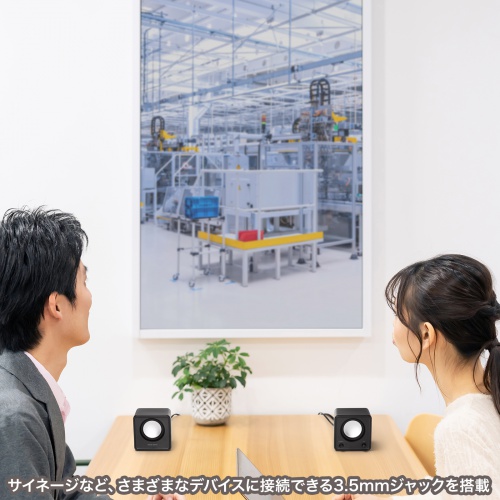 PCスピーカー（USB電源・6W出力・3.5mmプラグ接続・パッシブラジエーター・小型サイズ・ブラック）