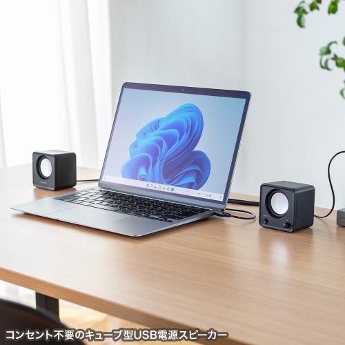 PCスピーカー（USB電源・6W出力・3.5mmプラグ接続・パッシブラジエーター・小型サイズ・ブラック）