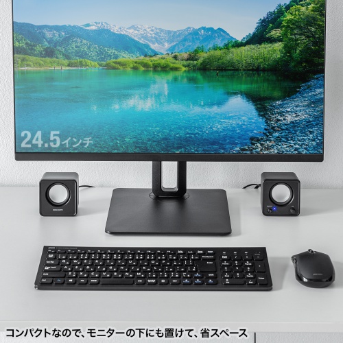PCスピーカー（USB電源・6W出力・3.5mmプラグ接続・パッシブ