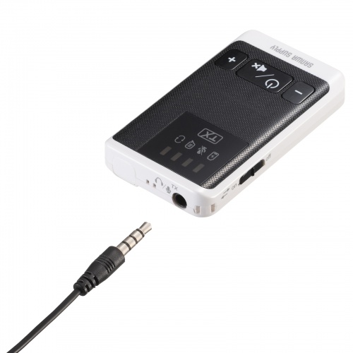 ワイヤレスガイドシステム（親機・ガイド用イヤホンマイク・ツアーガイドシステム・最大100台接続・旅行・団体・ガイドレシーバー・ガイドリーダー・インカム・無線・シスガイド・工場見学）