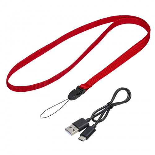 ワイヤレスガイドシステム（親機・ガイド用イヤホンマイク・ツアーガイドシステム・最大100台接続・旅行・団体・ガイドレシーバー・ガイドリーダー・インカム・無線・シスガイド・工場見学）