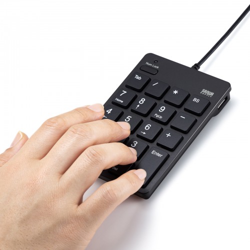 テンキー（USB・Type-Cコネクタ・USB2.0ハブ付き・アイソレーションタイプ・ブラック） NT-18CUHBK サンワサプライ