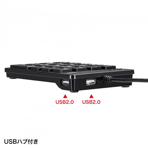 テンキー（USB・Type-Cコネクタ・USB2.0ハブ付き・アイソレーションタイプ・ブラック） NT-18CUHBK サンワサプライ