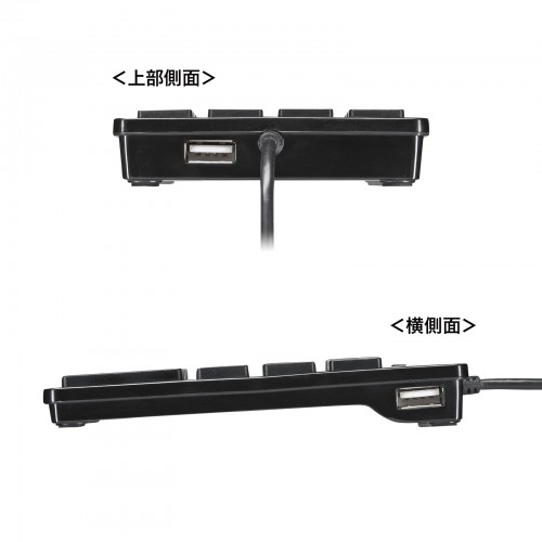 テンキー（USB・Type-Cコネクタ・USB2.0ハブ付き・アイソレーションタイプ・ブラック） NT-18CUHBK サンワサプライ