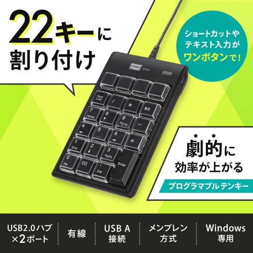 鳥　NＴ-19 41GCq8RKzQL.jpg