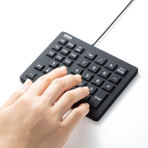 テンキー（防水・防塵ポ・インタ機能付き・抗菌仕様） NT-BS1BK サンワサプライ