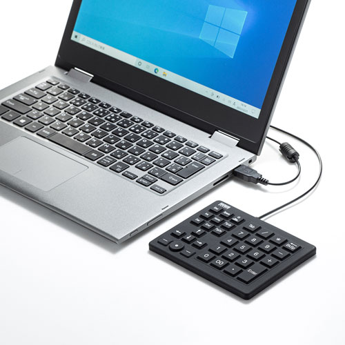 テンキー（防水・防塵ポ・インタ機能付き・抗菌仕様） NT-BS1BK サンワサプライ