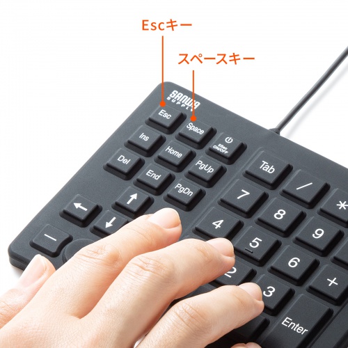 テンキー（防水・防塵ポ・インタ機能付き・抗菌仕様） NT-BS1BK サンワサプライ