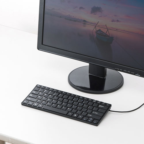 キーボード（コンパクト・有線・パンタグラフ・英語配列・USB・スリム・テンキーなし・おすすめ・ブラック） SKB-E3UN サンワサプライ