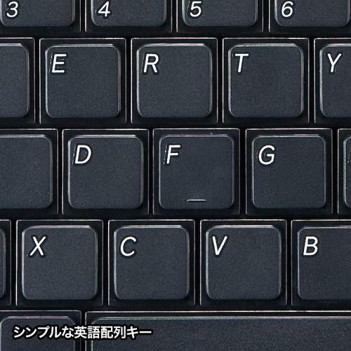英語配列USBスリムキーボード（テンキーなし・ブラック） SKB