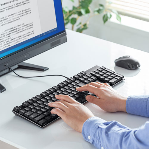 キーボード（メカニカル・ゲーミング機能・ハイエンドユーザー向け・赤軸・ブラック） SKB-MK3BK