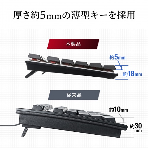 キーボード（メカニカル・ゲーミング機能・ハイエンドユーザー向け・赤軸・ブラック） SKB-MK3BK