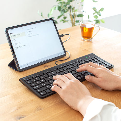 キーボード（USB Type-C・タブレット・スリム・薄型・テンキー付き・持ちはこび・iPhone15・iPhone15plus・ブラック) SKB-SL31CBK サンワサプライ