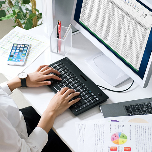 キーボード(メンブレン・コンパクト・有線・トラックボール一体型・マウス不要・薄型・おすすめ・USB・ブラックメンブレン) SKB-TR03BK サンワサプライ