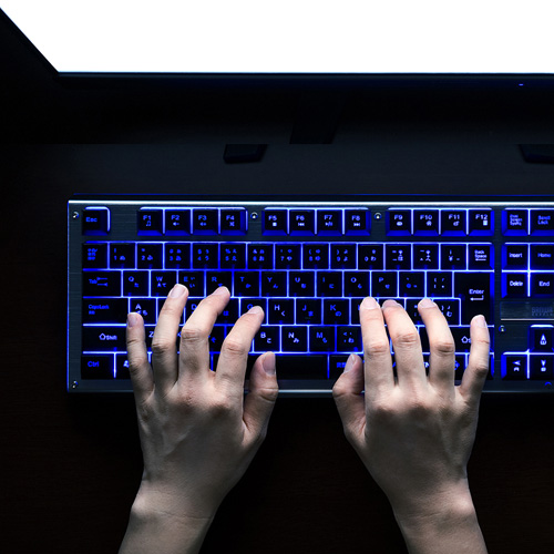 キーボード（USB・日本語109A配列・ゲーミング機能・バック