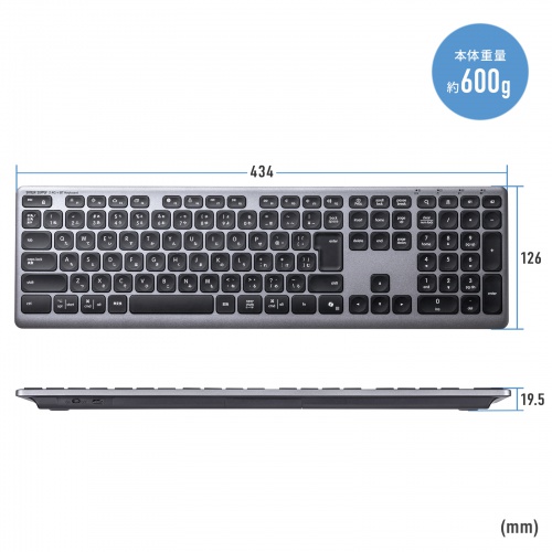 Bluetoothキーボード（USB充電式・ワイヤレス・BT＆ USB Aレシーバー・マルチペアリング・2.4GHz・日本語配列・パンタグラフ式・ブラック）