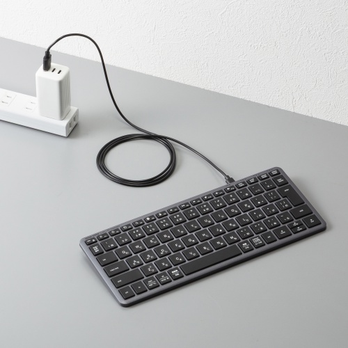 Bluetooth＋2.4Gコンボキーボード（USB充電式・ワイヤレス・BT＆ USB Aレシーバー・テンキーレス・マルチペアリング・2.4GHz・日本語配列・パンタグラフ式・コンパクト・ブラック））