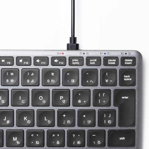 Bluetooth＋2.4Gコンボキーボード（USB充電式・ワイヤレス・BT＆ USB Aレシーバー・テンキーレス・マルチペアリング・2.4GHz・日本語配列・パンタグラフ式・コンパクト・ブラック））
