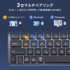 Bluetooth＋2.4Gコンボキーボード（USB充電式・ワイヤレス・BT＆ USB Aレシーバー・テンキーレス・マルチペアリング・2.4GHz・日本語配列・パンタグラフ式・コンパクト・ブラック））