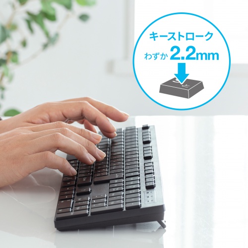 ワイヤレスキーボード（コンパクトサイズ・フルキーボード・2.4GHzワイヤレス・日本語109A配列・薄型メンブレン・電池式・ブラック）