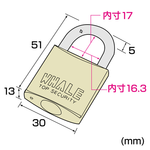 eセキュリティ（大・南京錠・鍵付き・防犯対策） SLE-1L-5N サンワサプライ