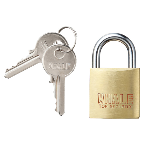 eセキュリティ（大・南京錠・鍵付き・防犯対策） SLE-1L-5N サンワサプライ