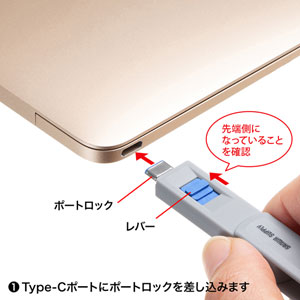 タイプCポートロック（eセキュリティ・物理・ポートロックセット） SLE-46S-BL サンワサプライ