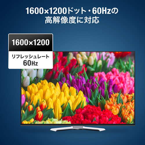 切替器（ディスプレイ・2台・DVI・パソコン・高解像度）SW-EDV2N2 サンワサプライ