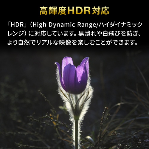 HDMI切替器（双方向切替タイプ・2入力1出力・1入力2出力・手動式・4K/60Hz・HDR・HDCP2.2対応・PS5対応） SW-HDR21BD サンワサプライ