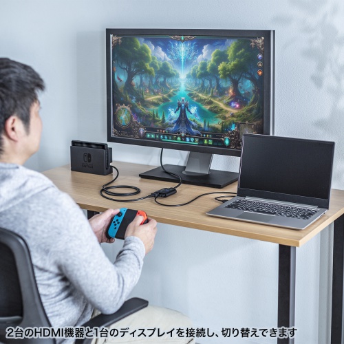 HDMI切替器（双方向・ケーブル一体型・2入力1出力・1入力2出力・8K/60Hz・4K/120Hz・HDMIセレクター） SW-HDR8K21BD サンワサプライ