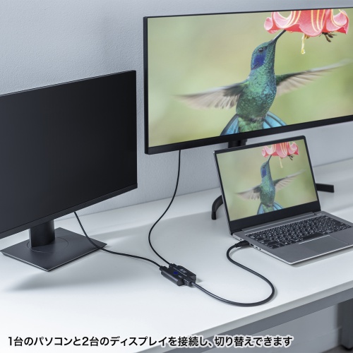 HDMI切替器（双方向・ケーブル一体型・2入力1出力・1入力2出力・8K/60Hz・4K/120Hz・HDMIセレクター） SW-HDR8K21BD サンワサプライ