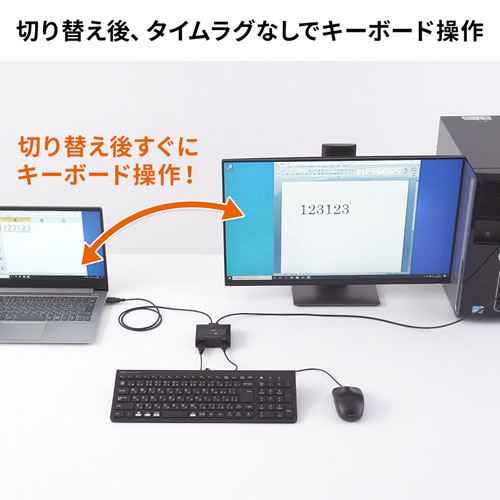 パソコン切替器（キーボード・マウス用・2：1・USB） SW-KM2UU サンワサプライ