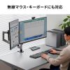 HDMIパソコン切替器（デュアルディスプレイ・2画面同時出力・4K対応・エミュレーション非搭載・2:1）