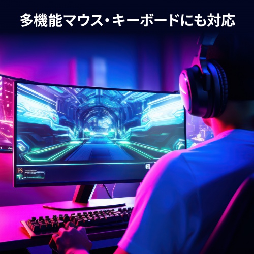 パソコン自動切替器（DisplayPort対応・2:1・4K/60Hz・エミュレーション非搭載・マウス・キーボード）
