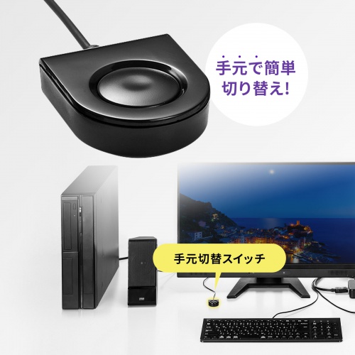 パソコン自動切替器（2:1・DisplayPort対応・手元スイッチ付き） サンワサプライ SW-KVM2WDPU サンワサプライ