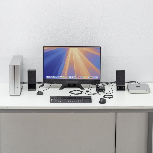 パソコン自動切替器（2:1・自動切替・KVM・手元スイッチ付き) SW-KVM2WHU サンワサプライ