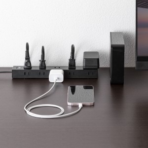 電源タップ（2Pプラグ・10個口・強力ネオジムマグネット・シャッター付き・ACアダプタ対応・1m・ブラック） TAP-2210-1BK サンワサプライ