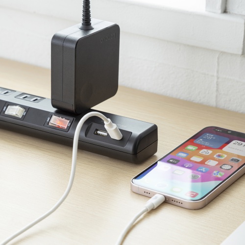 節電タップ（電源タップ・一括集中スイッチ・個別スイッチ・4個口・Type-C・Type-A・PD20W・雷ガード・1m・ブラック） TAP-B107UC-1BK サンワサプライ