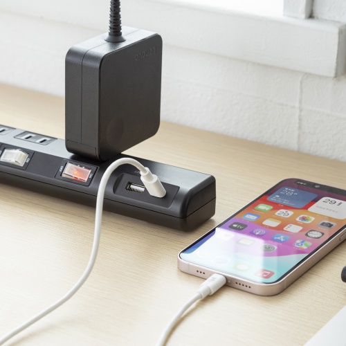 節電タップ（電源タップ・一括集中スイッチ・個別スイッチ・6個口・Type-C・Type-A・PD20W・雷ガード・1m・ブラック） TAP-B108UC-1BK サンワサプライ