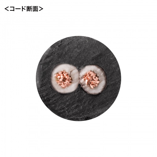 延長コード（電源タップ・電源延長コード・コンセント・ブラック・20m） TAP-EX22-20BK サンワサプライ