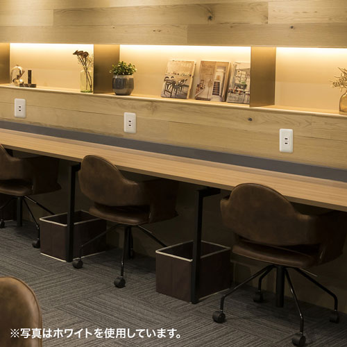 埋込USB給電用コンセント（5A・2.4A・2ポート・空港・ホテル・飲食店・商業施設・オフィス・ブラック）