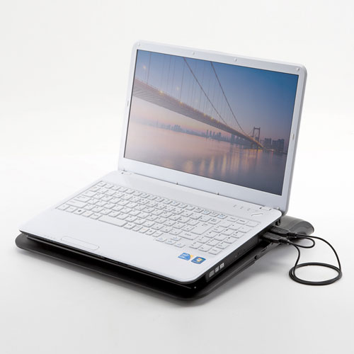 クーラーパッド（ノートPC用・ターボ機能付き・17.3インチ対応・2ファン・USB給電・風量調節・2段階角度調節） TK-CLN19UN