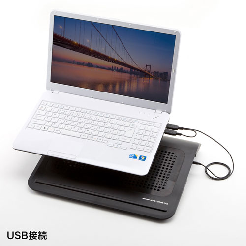 クーラーパッド（ノートPC用・ターボ機能付き・17.3インチ対応・2ファン・USB給電・風量調節・2段階角度調節） TK-CLN19UN