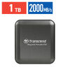 ポータブルSSD(1TB・最大2000MB/s・iPhone/MagSafe対応・4K・ProRes撮影・USB 20Gbps・外付けSSD・コンパクト・グレー）
