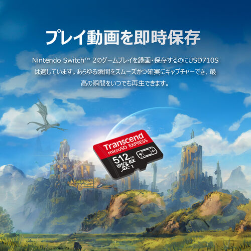microSD（Express 256GB・Nintendo Switch2 動作確認済・最大転送速度900MB/s・microSDカード・microSDXC・NVMe・PCIe・Gen3x1）