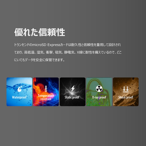 microSD（Express 256GB・Nintendo Switch2 動作確認済・最大転送速度900MB/s・microSDカード・microSDXC・NVMe・PCIe・Gen3x1）